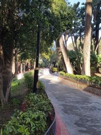 les allées du Parc_8.jpg